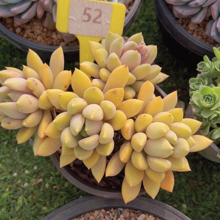 健健康康平平安安