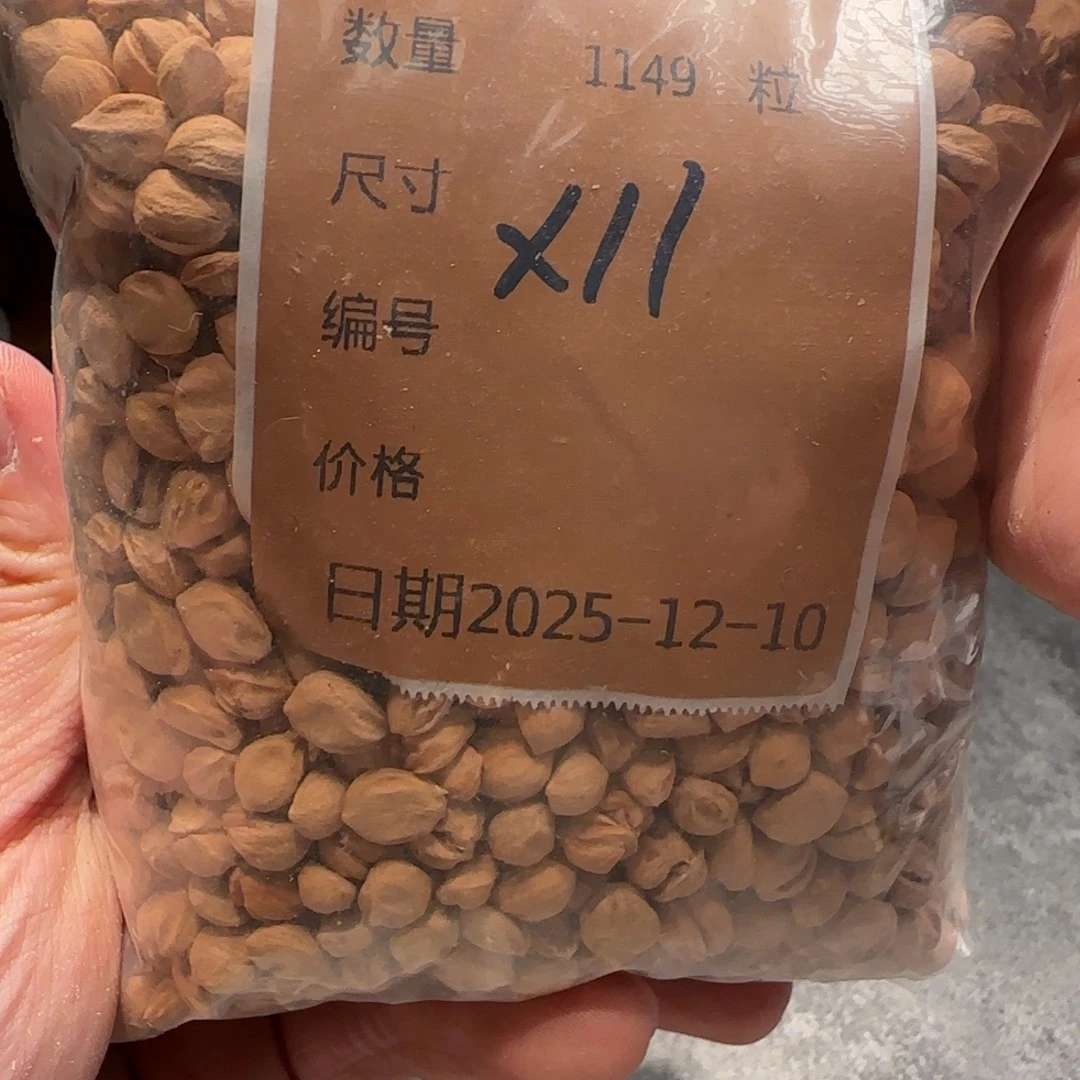 小***白吊坠柏香籽/百香籽x11