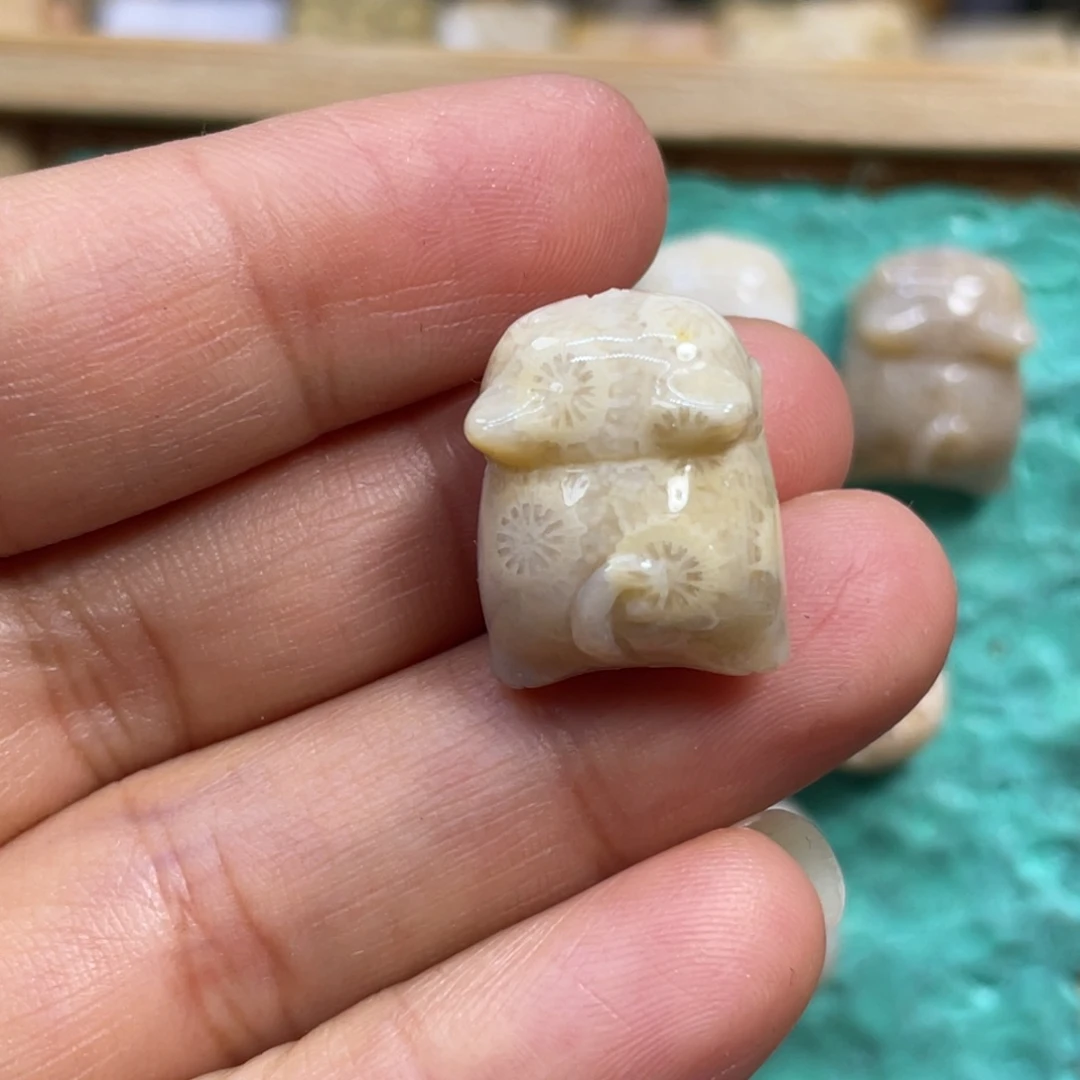 芝***豹硅化玉未镶嵌颈饰k88