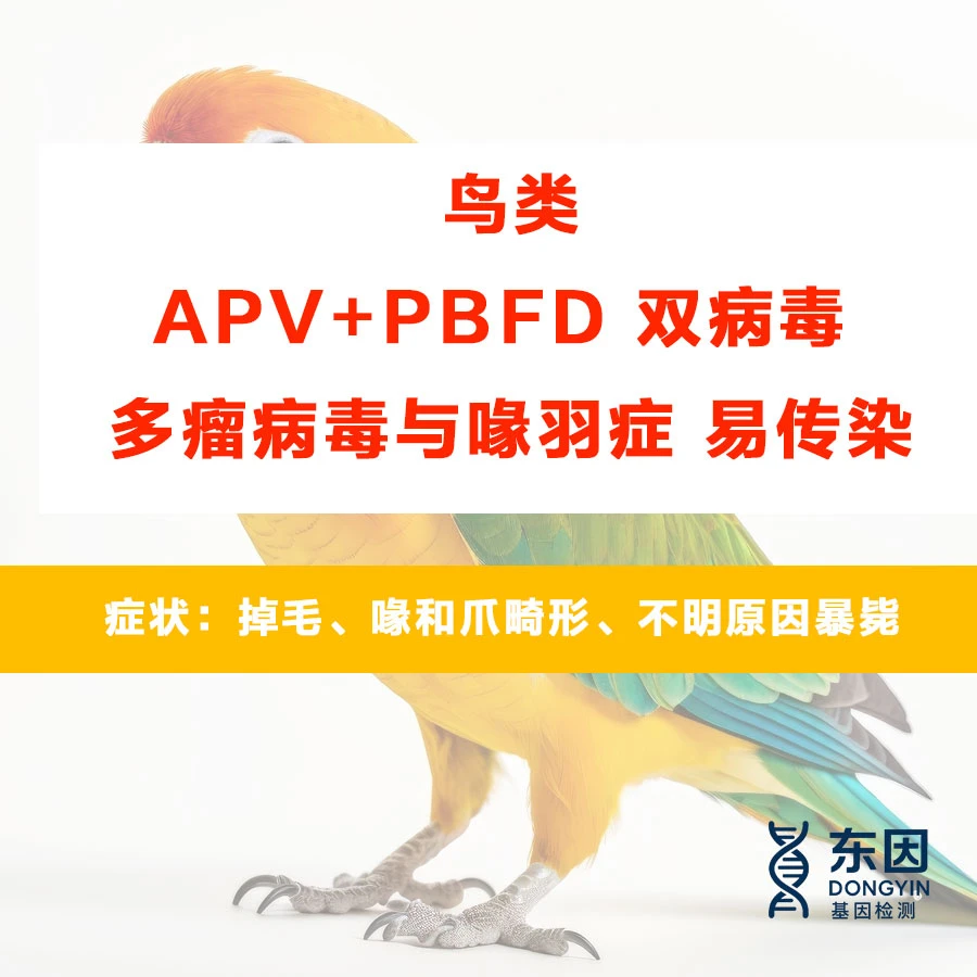 鹦鹉双病毒APV PBFD+性别验卡