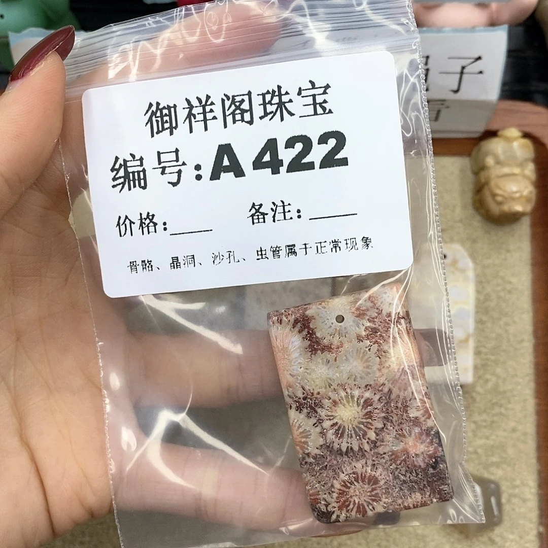 硅化珊瑚（珊瑚玉）A未镶嵌鼠*宝