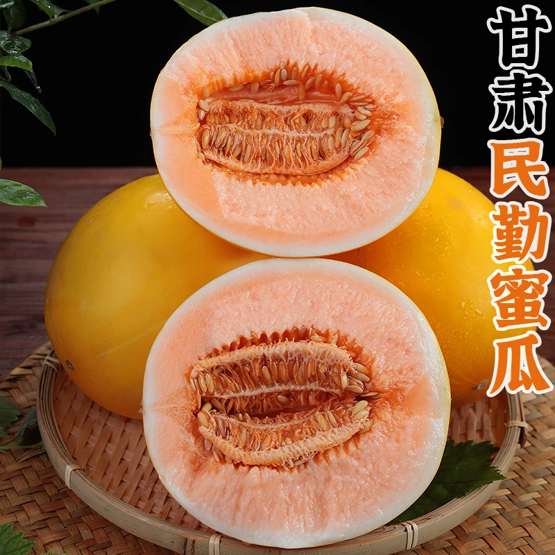 【沙漠中的奇迹】甘肃民勤蜜瓜沙漠金红宝黄河蜜瓜孕妇新鲜水果