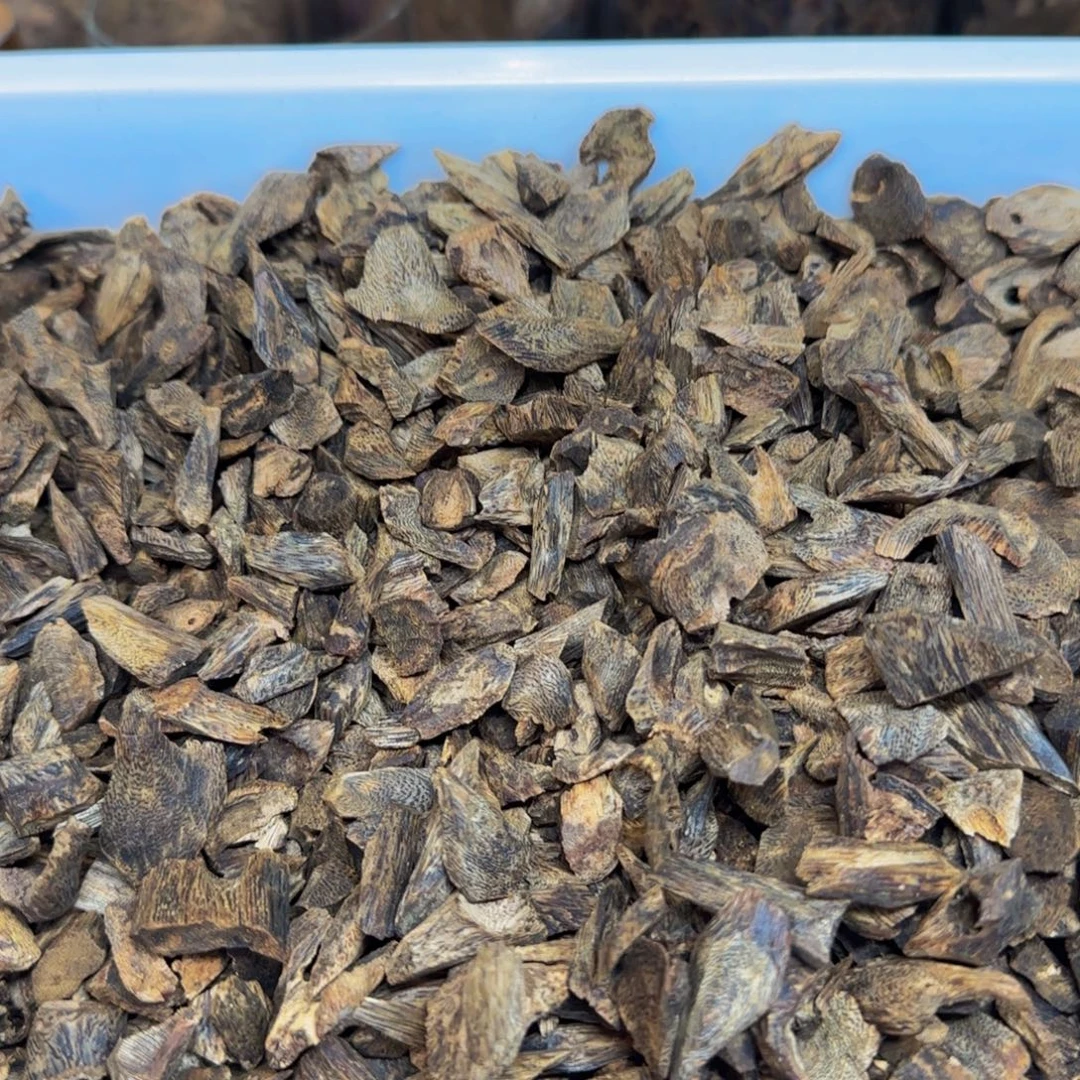 沉香碎屑沉香透顶绿树丁51克