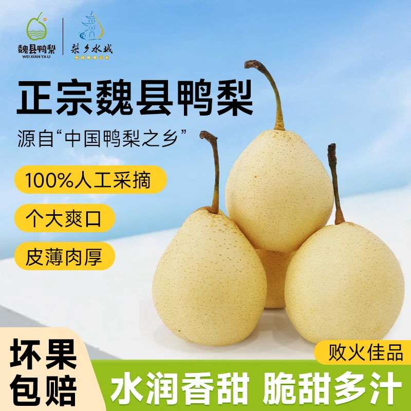 【顺丰包邮】正宗魏县黄金脆皮金梨香酥脆甜现摘拍三斤到手4.5斤河北省