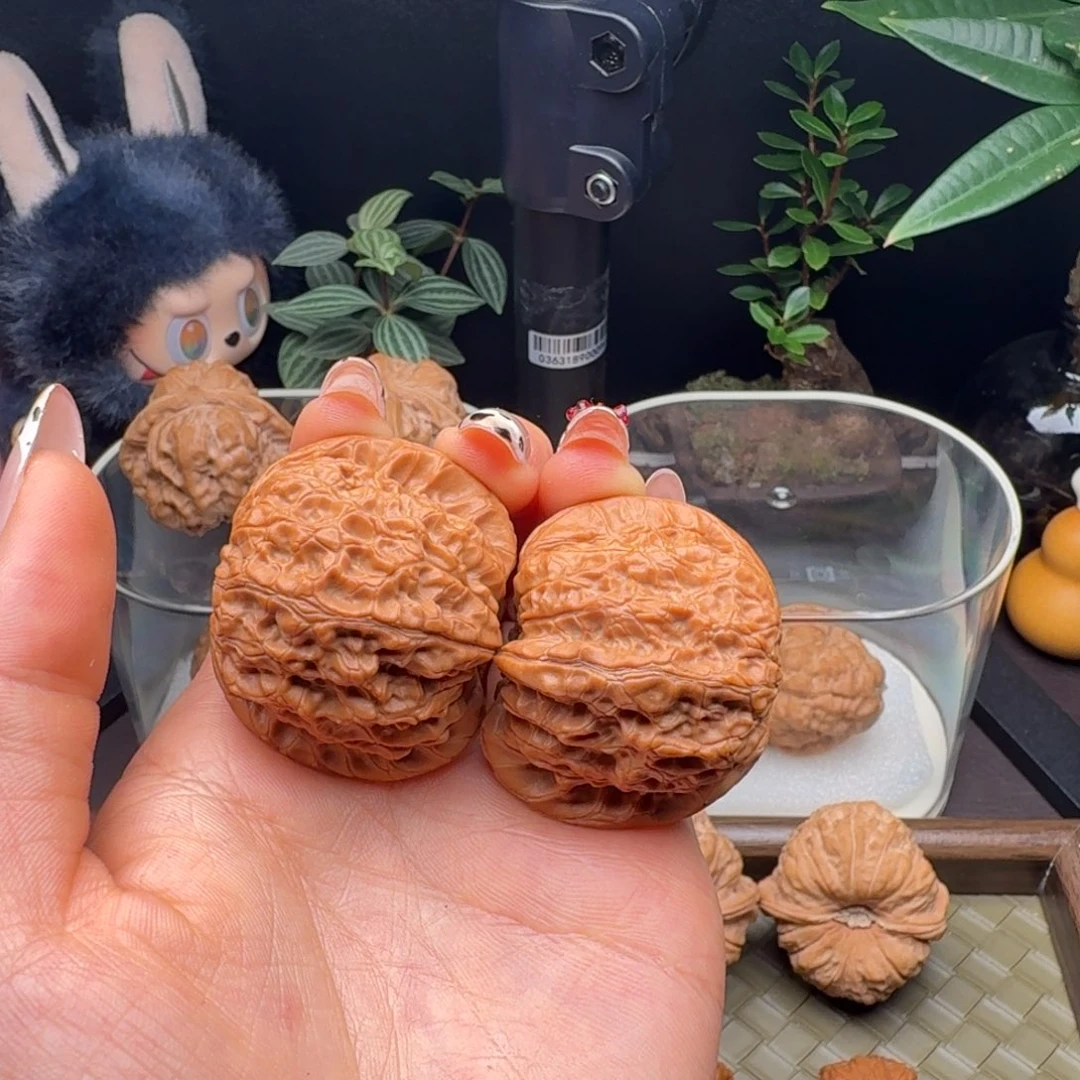 把件龙脊菩提血麒麟（微修打底）41
