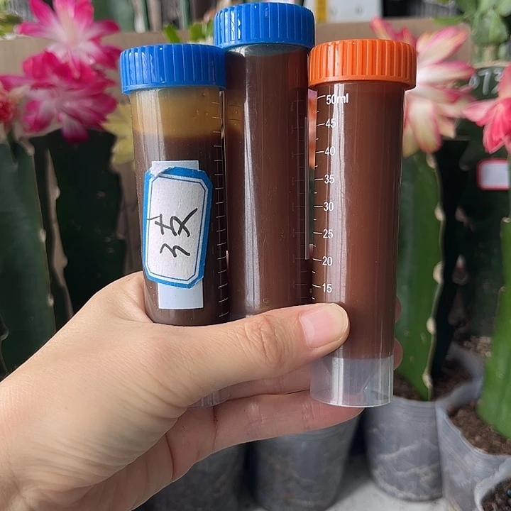 当前无花朵,栽培后可花朵鱼蛋白