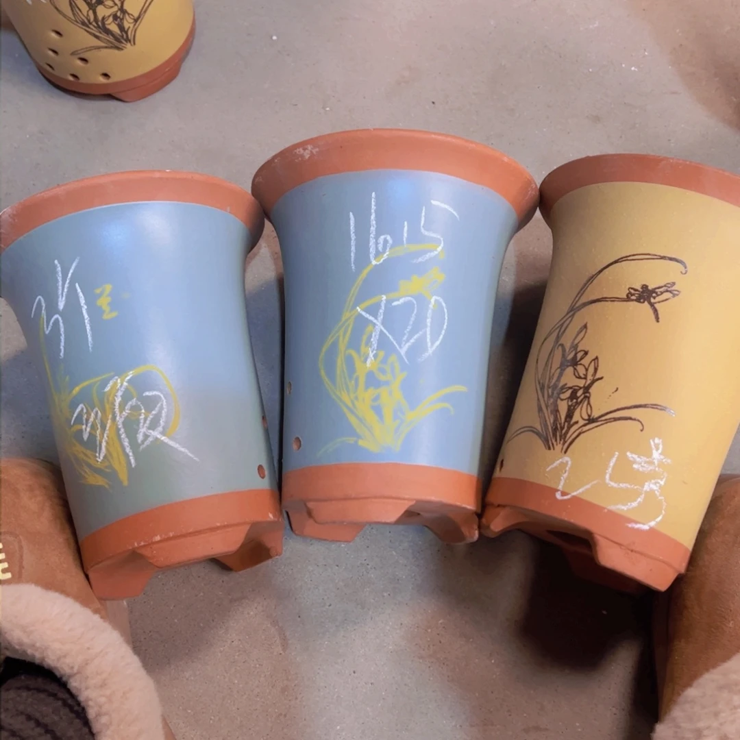 紫砂25……………………………………