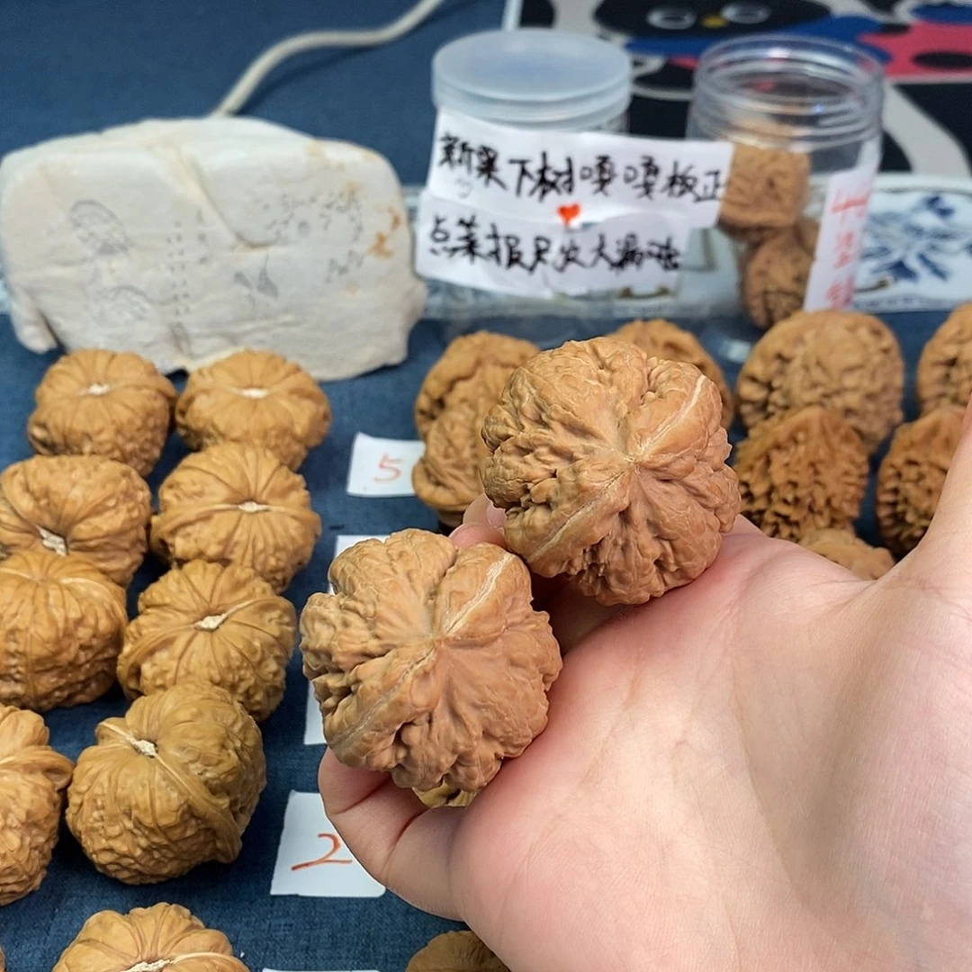 文玩核桃把件42尺霸王龙全品