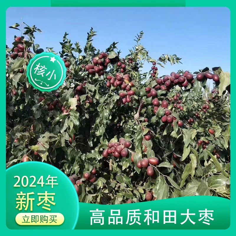 新疆和田原生态吊干枣一级不清洗产地直发包邮(5斤)