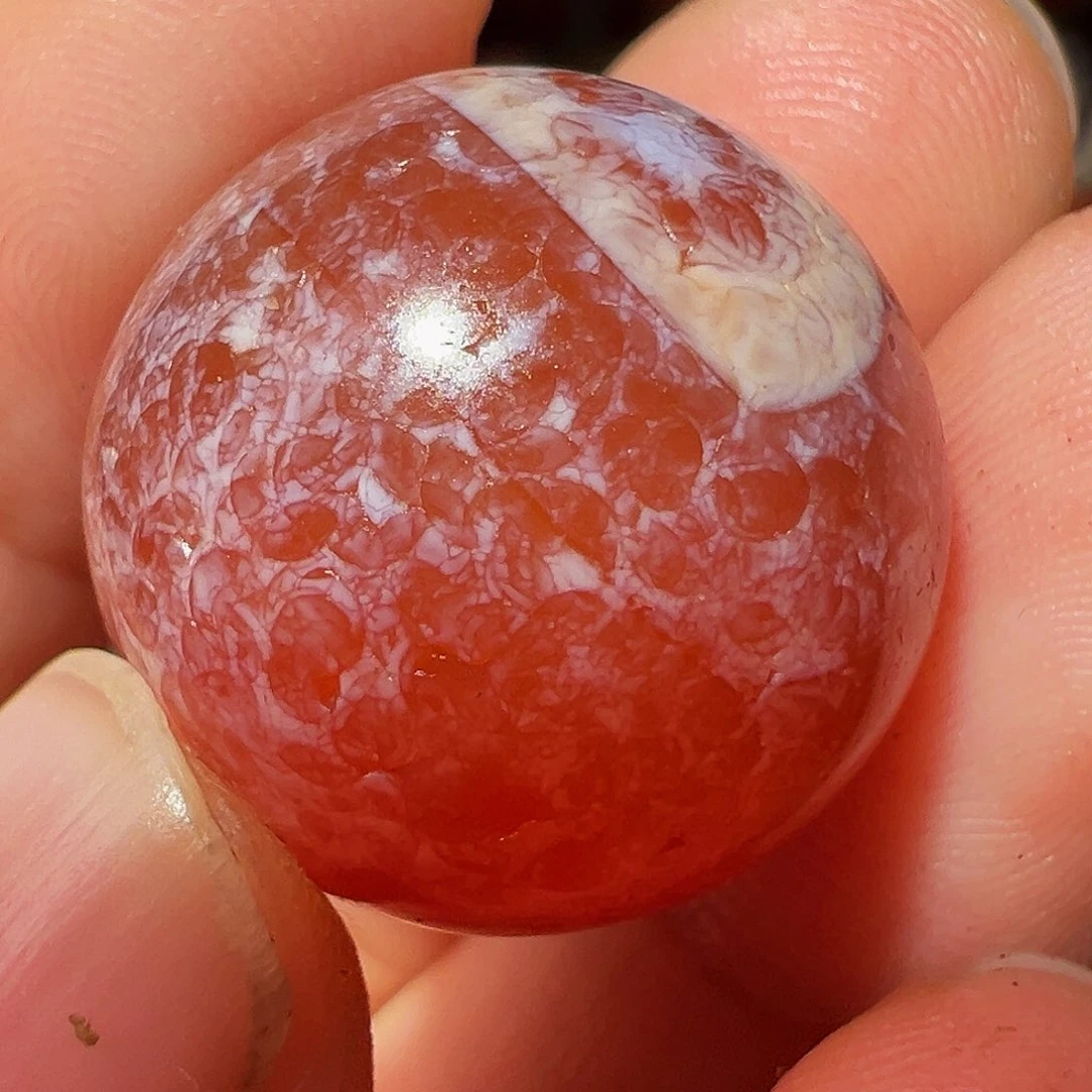 用***4非洲紫檀（红花梨）