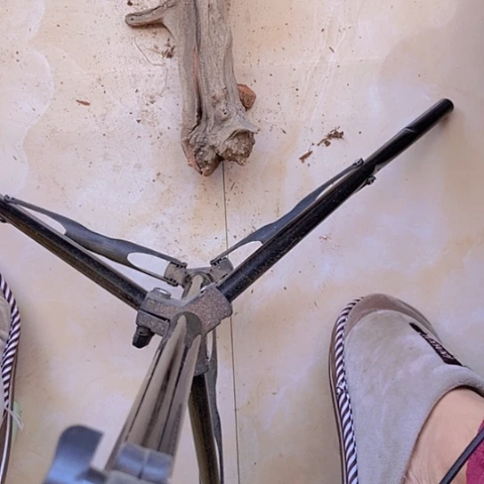 柏木J****邦陈化到位坨坨疙瘩