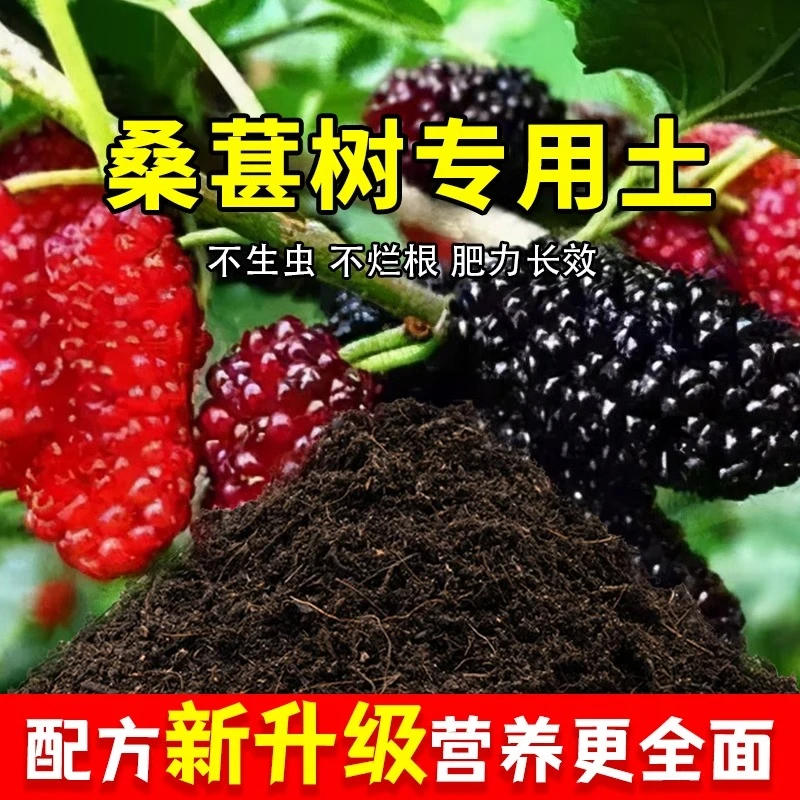 桑葚树专用土农业果园种植土桑葚树营养土家庭果树有机土壤盆栽土