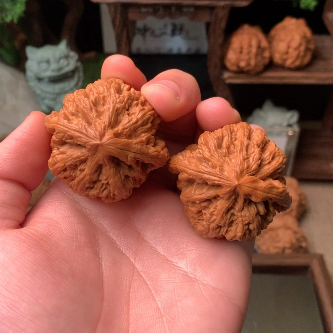 文玩核桃把件47尺寸大粗筋