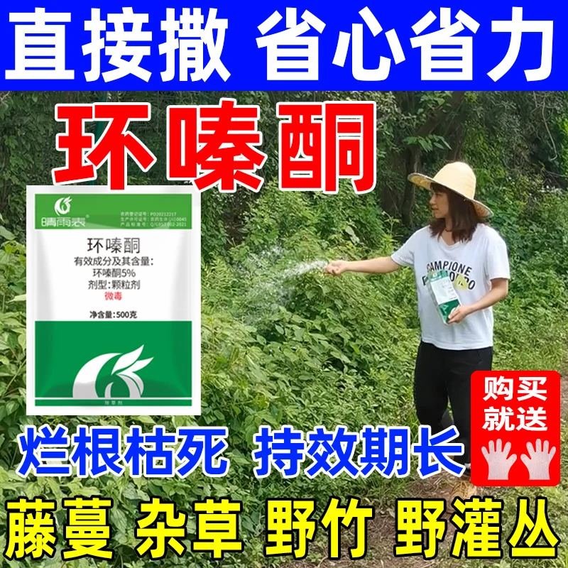 环嗪酮哃除草剂除草烂根剂颗粒剂除草烂根枯死药烂根专用剂正品