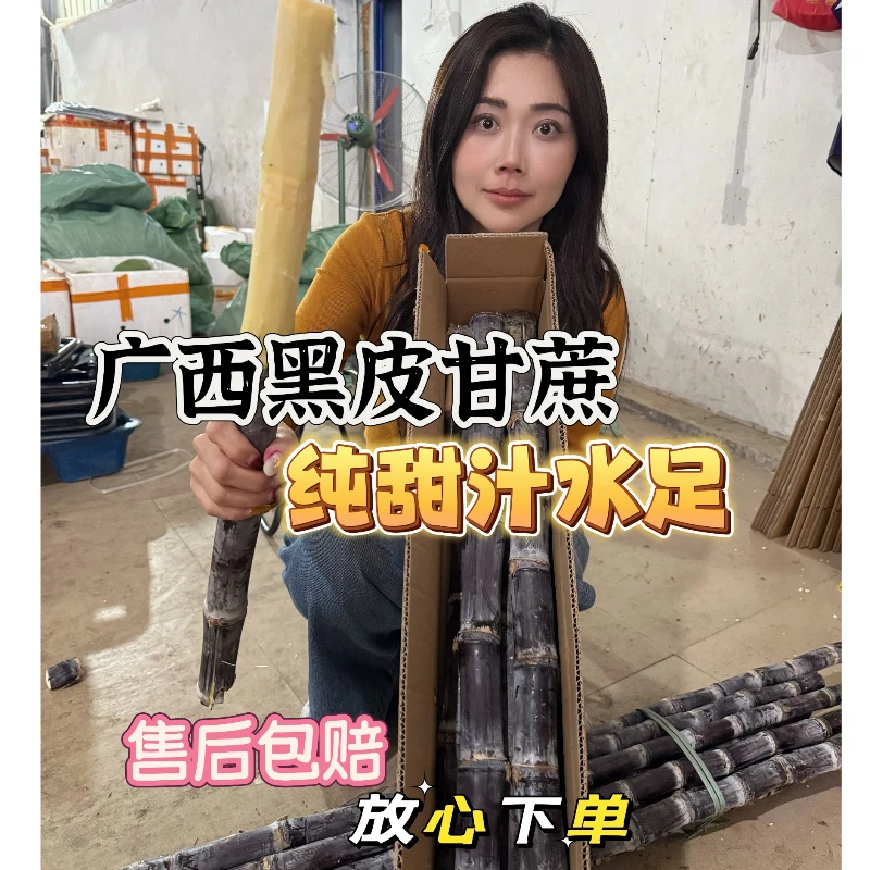 广西黑皮甘庶5斤/9斤脆甜多汁