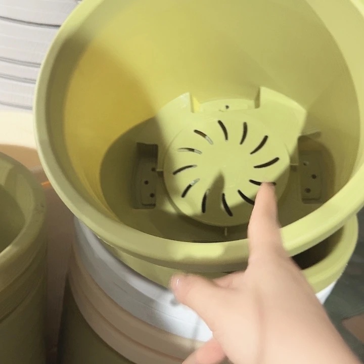 球根盆4号果绿无托5个