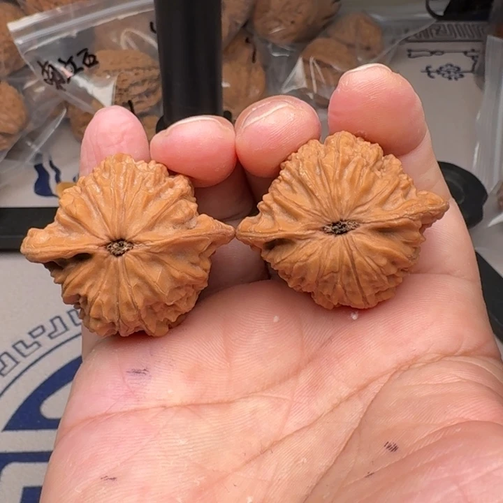 桃核把件山地公子帽42尺22