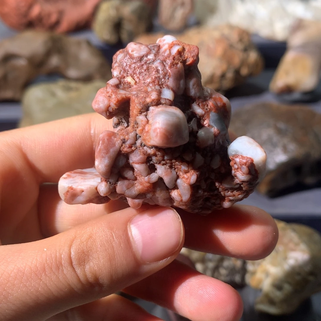 有机玻璃43 阿拉善奇石