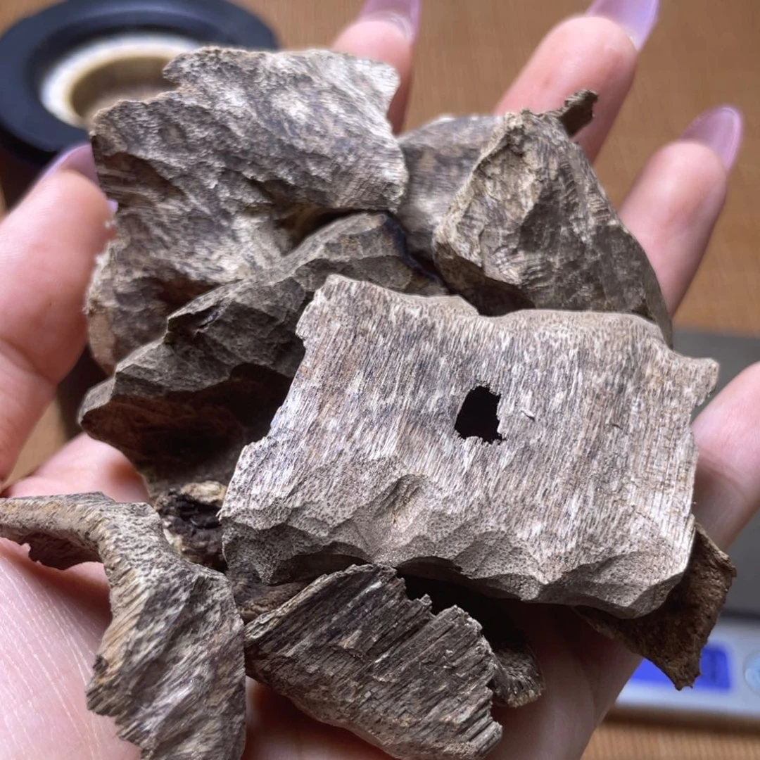 香榧木越南芽庄冷钻老虫漏13g重福利