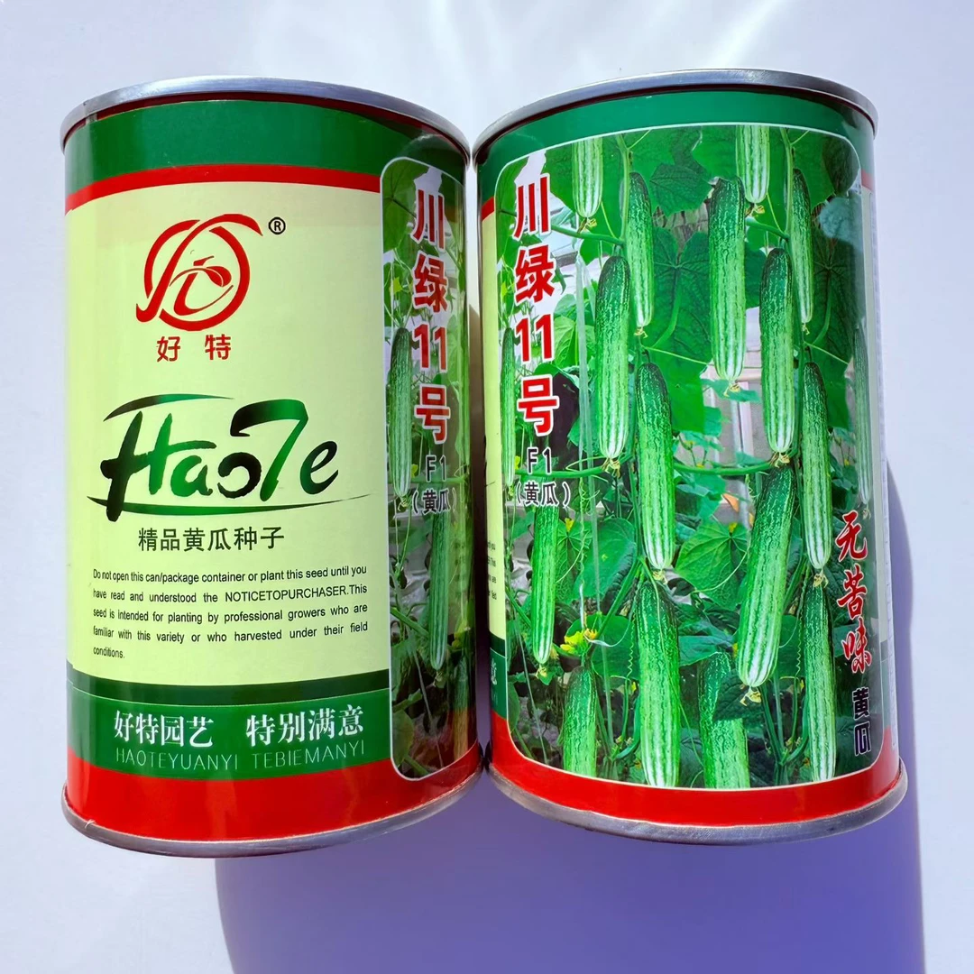 川绿十一号无苦味早熟强雌特高产黄瓜种子口感脆嫩
