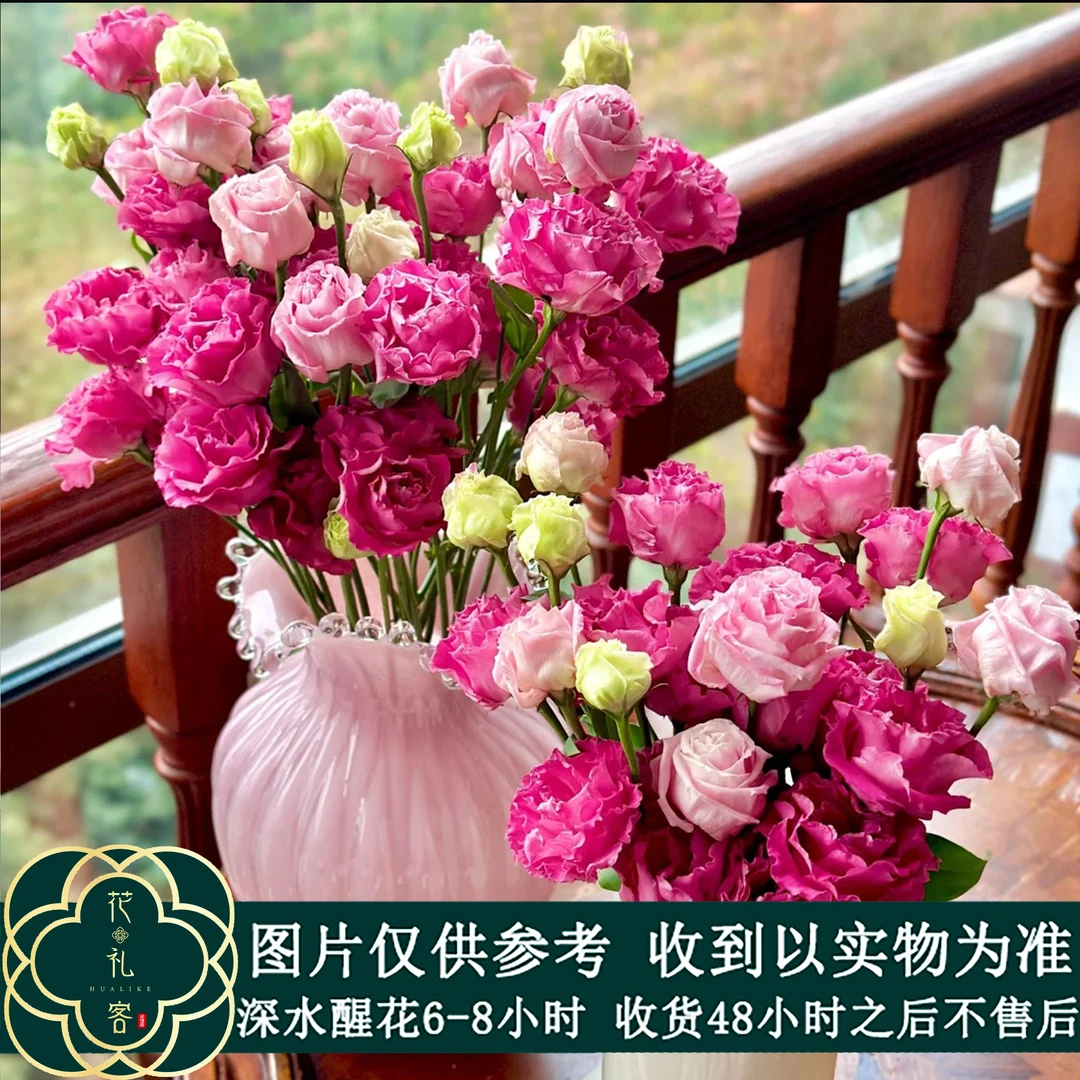 #洋桔梗基地现采 顺丰直发