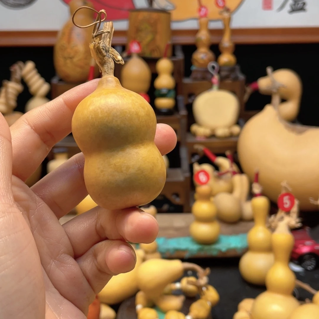 幸**人大自然的秘密第十一节课