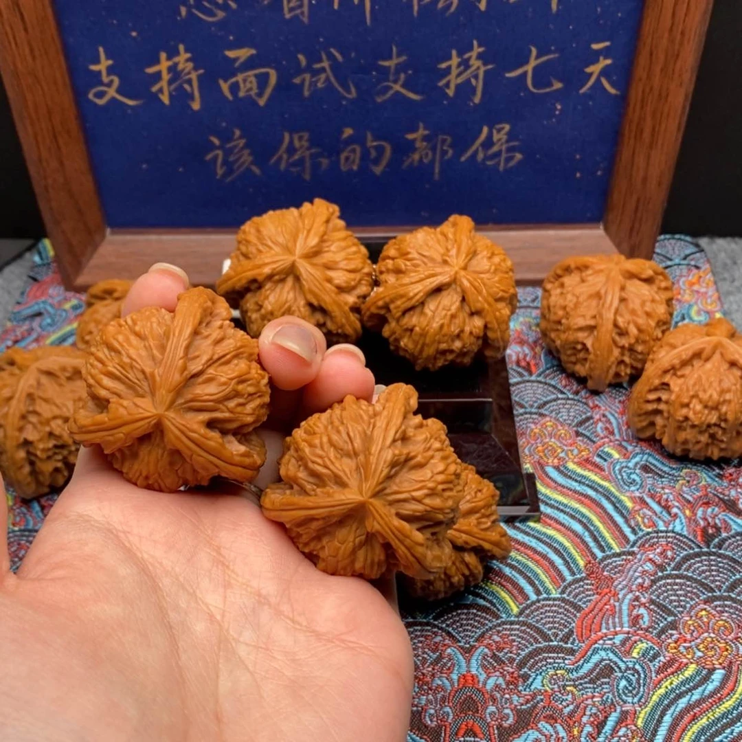 【闪购商品】刚****草白狮