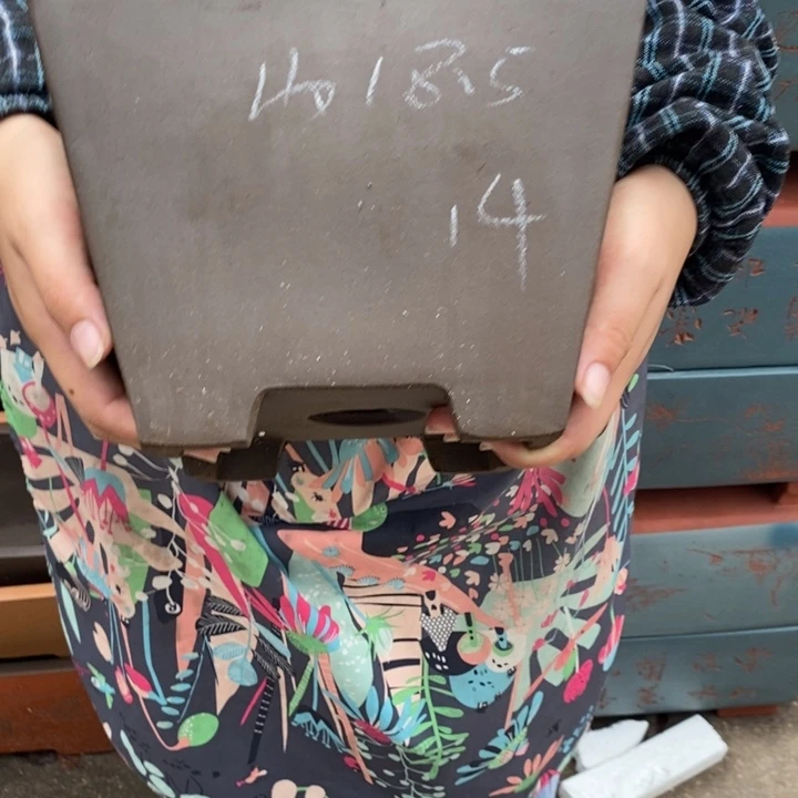 紫砂花盆自己个用不用啦