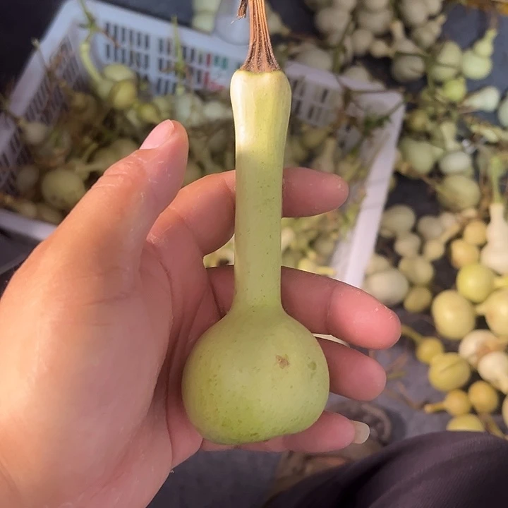 哼***️文玩葫芦八宝葫芦