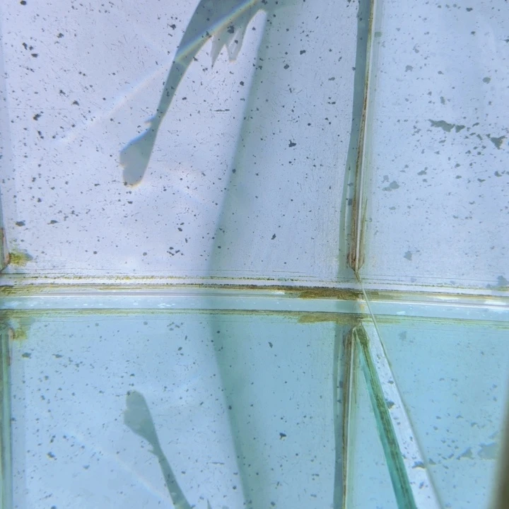 海水608红博头。