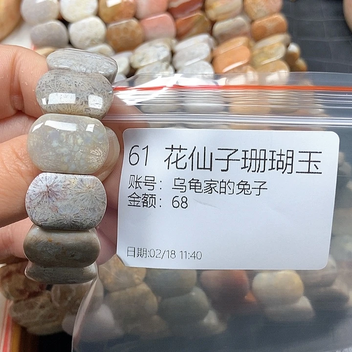 硅化珊瑚（珊瑚玉）手镯未镶嵌乌****子61