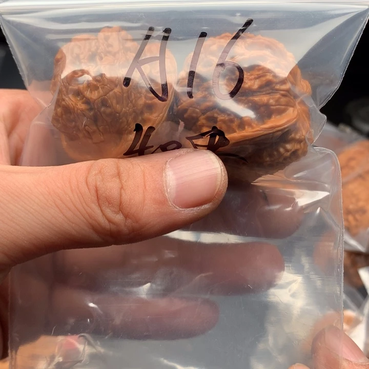 文玩核桃把件A*E38血麒麟