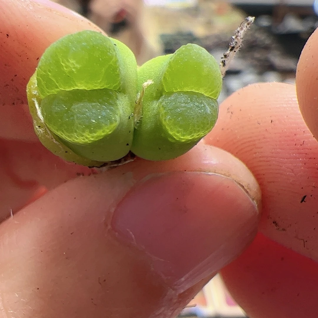 【闪购商品】328 奶瓶