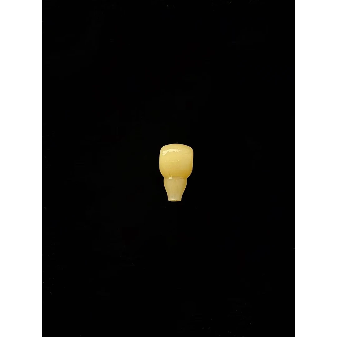 st0149驼骨玉化连体三通10*17
