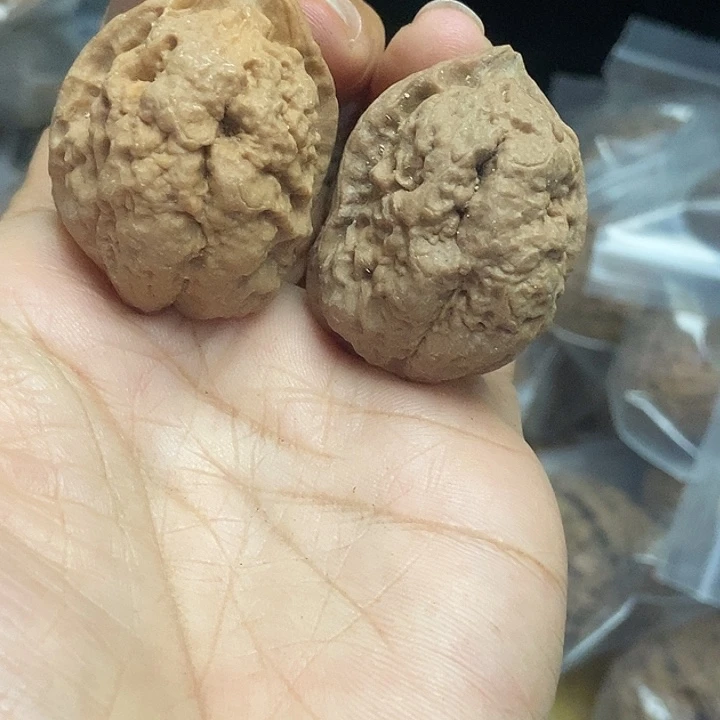 木质类云南铁核桃+73