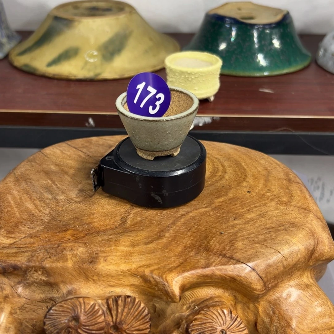 红陶啊*轻轻一点，直接输入173