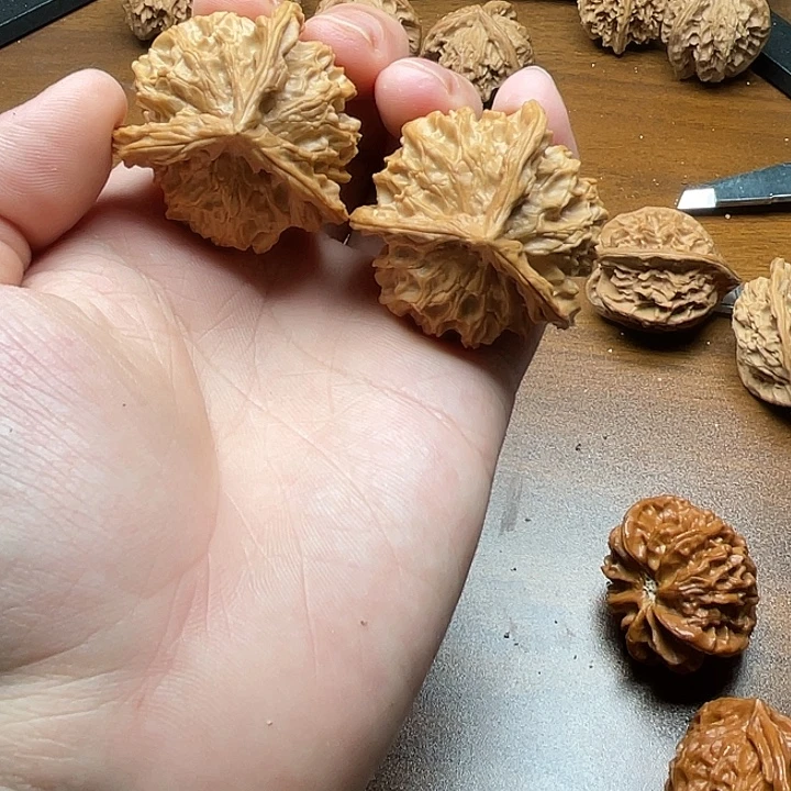 42矮壮公子帽三棱