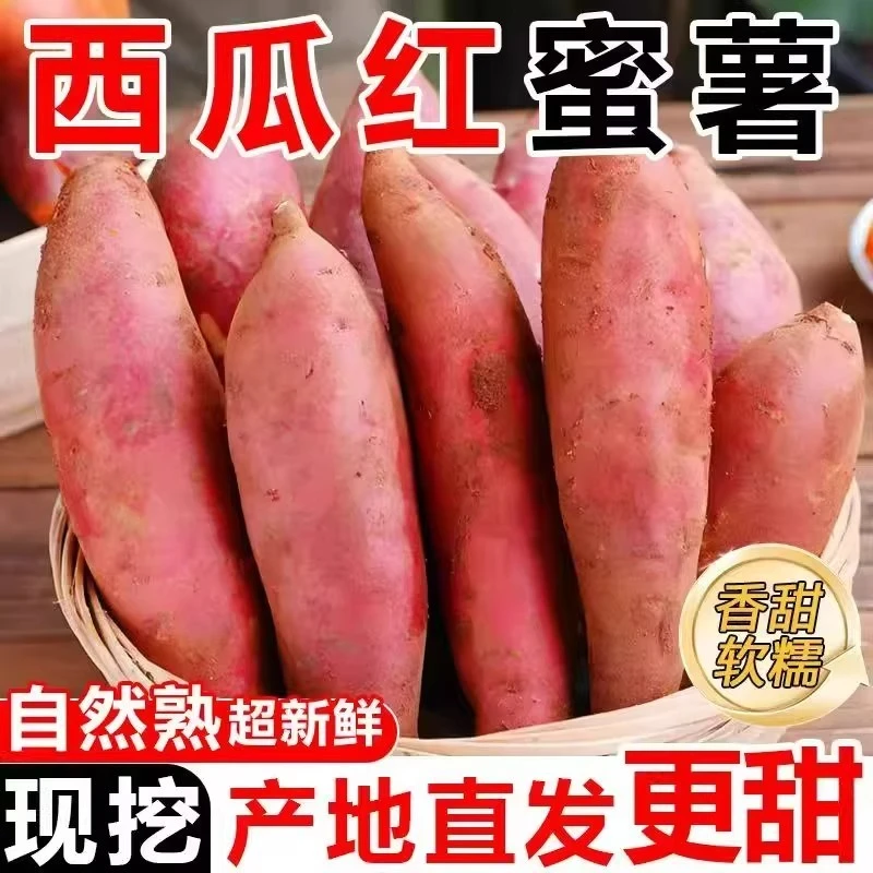 新鲜蜜薯5斤网套装蜜薯红薯农家自种西瓜红糖心沙地红心番薯地瓜红心地瓜西瓜红蜜薯河南省