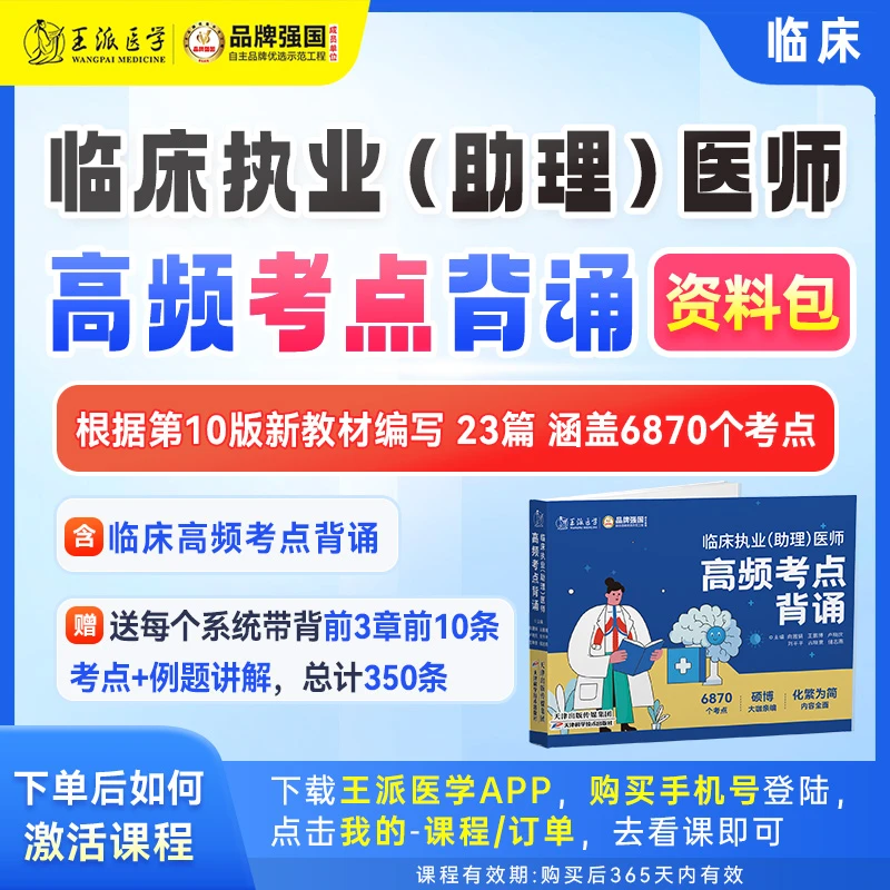 王派*临床高频考点背诵（资料包）商品图