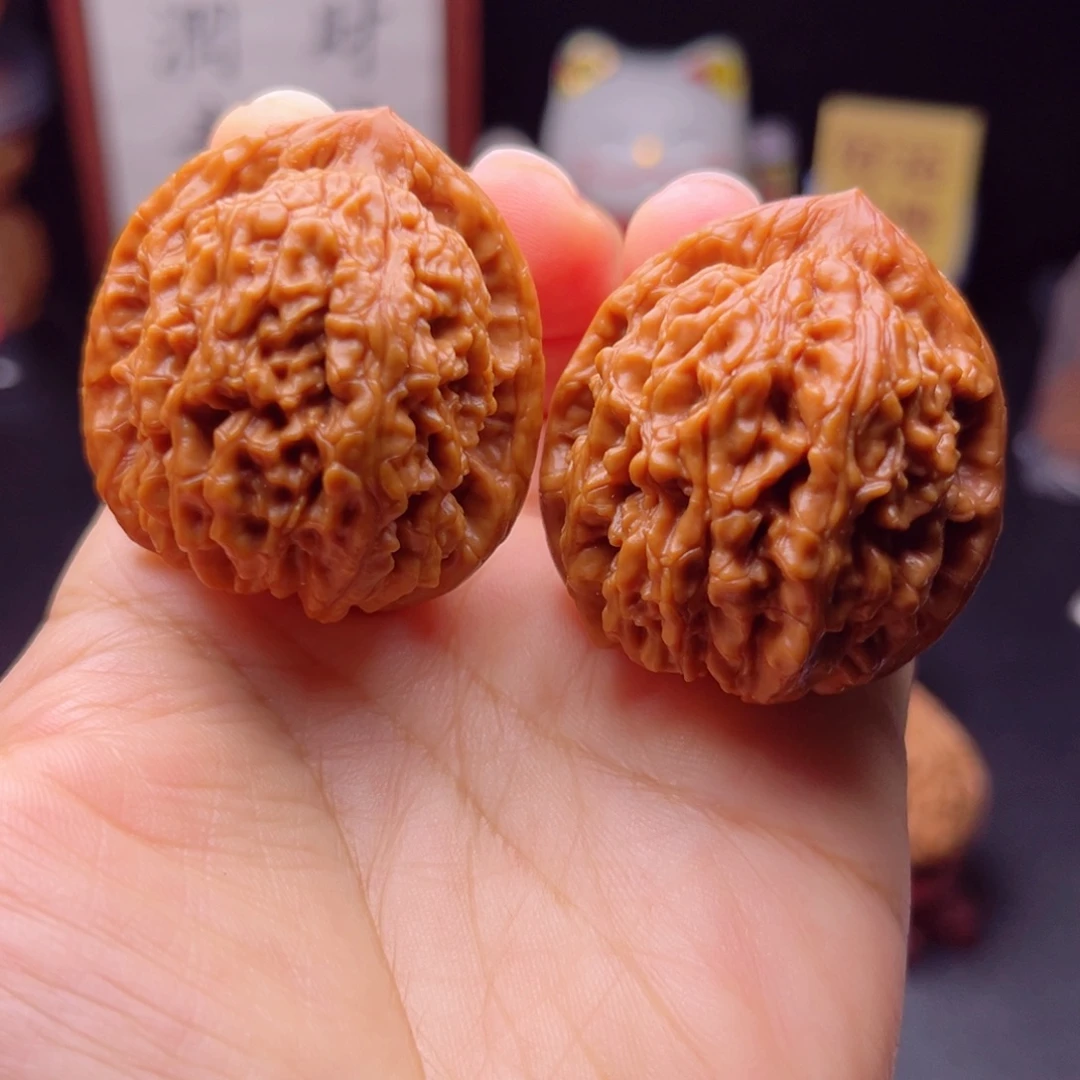 核桃小众蚂蚁王核桃