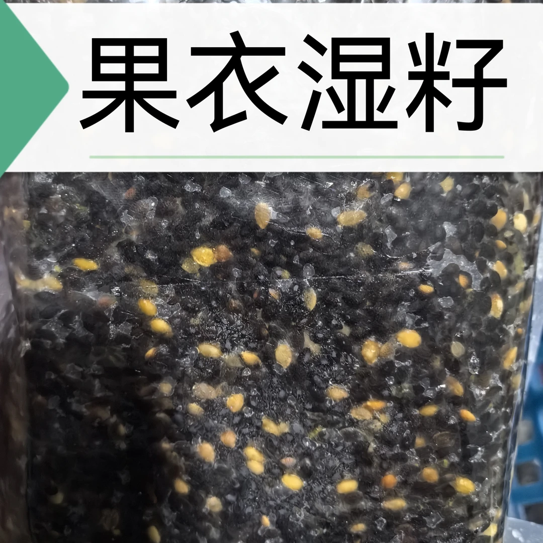 百香果籽(双十一活动)