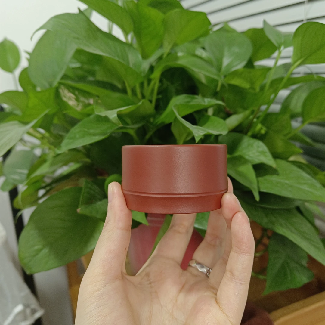 大红袍竹节主人杯