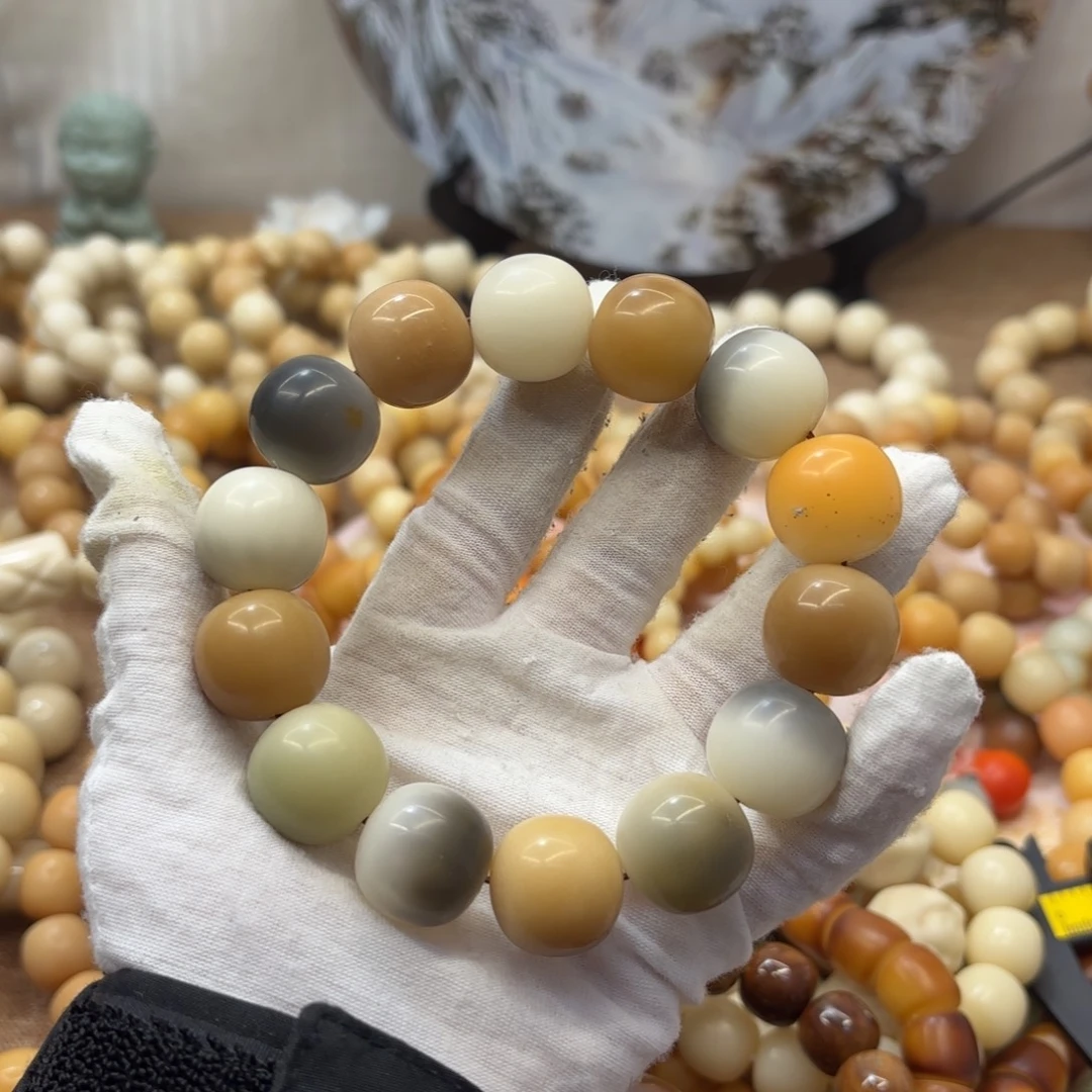 吊坠菩提根/象牙果20干磨瑕疵落地果095