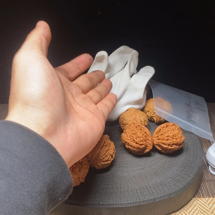 ****绵大叶紫檀（黑酸枝木类）