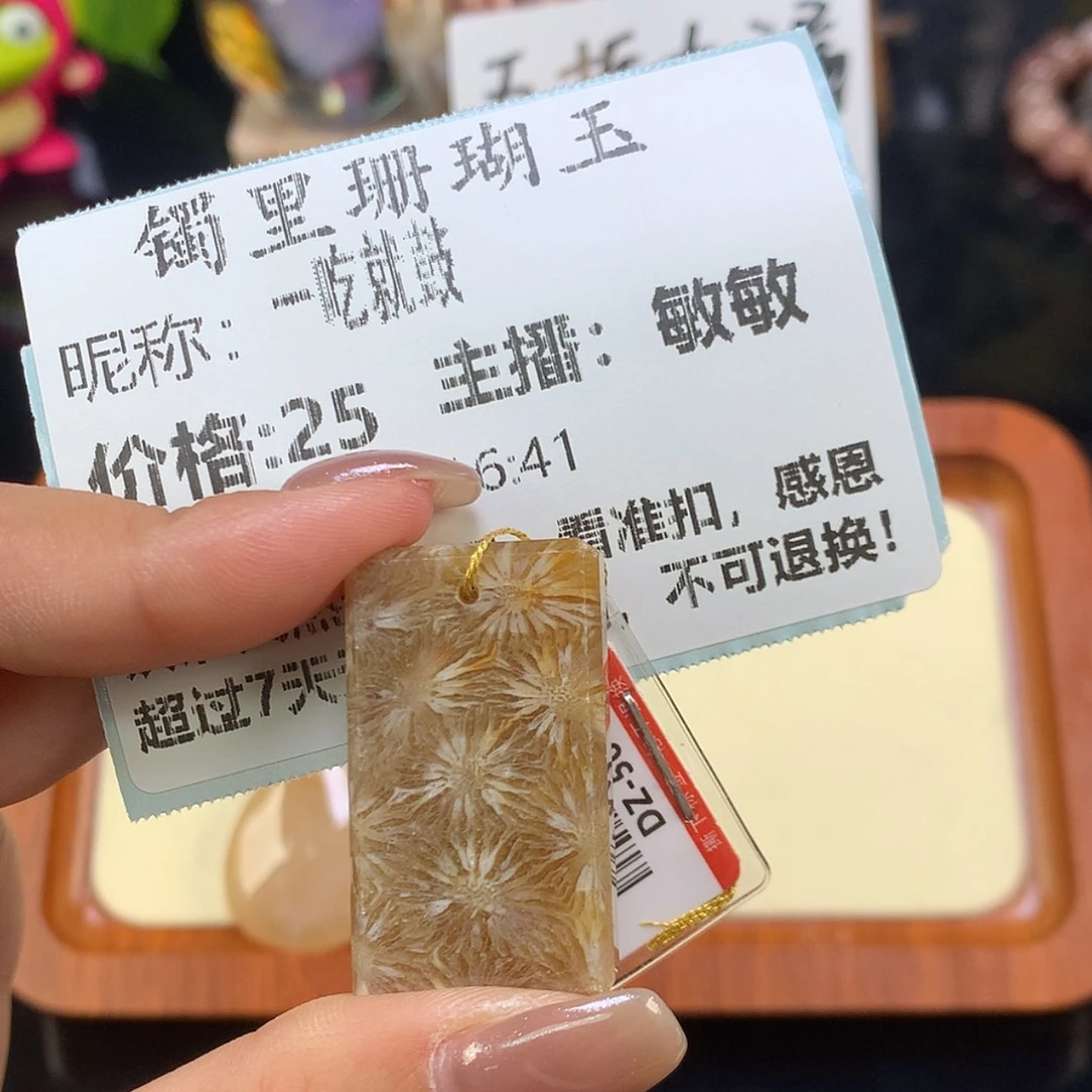 【闪购商品】颈饰未镶嵌硅化珊瑚（珊瑚玉）一**鼓