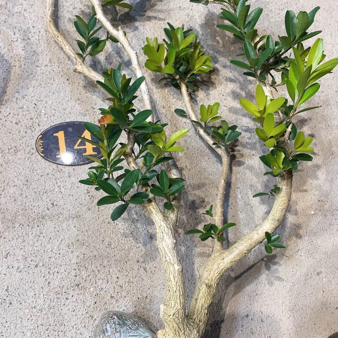 红陶镇*一起为梦想而加油的小男孩