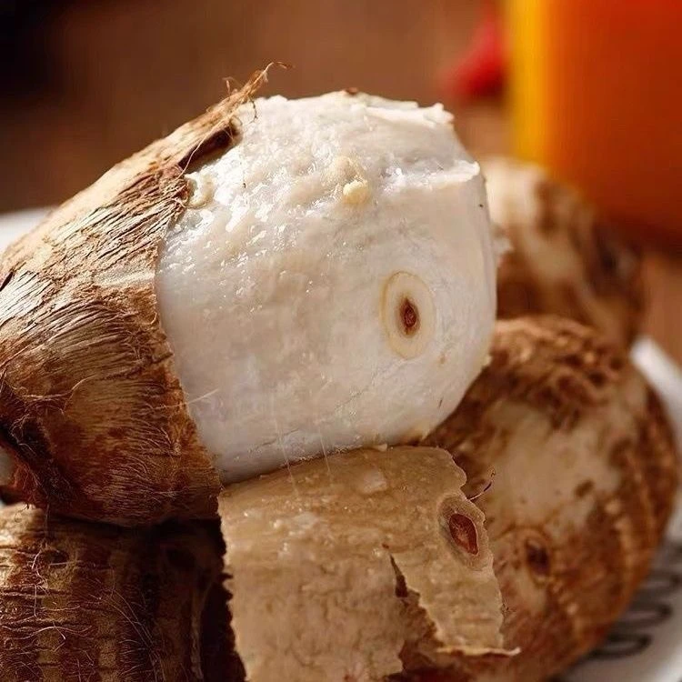 云南高山新鲜牛奶小芋头香芋粉糯香甜应季现挖