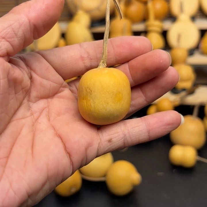 一*呀2355536555655699