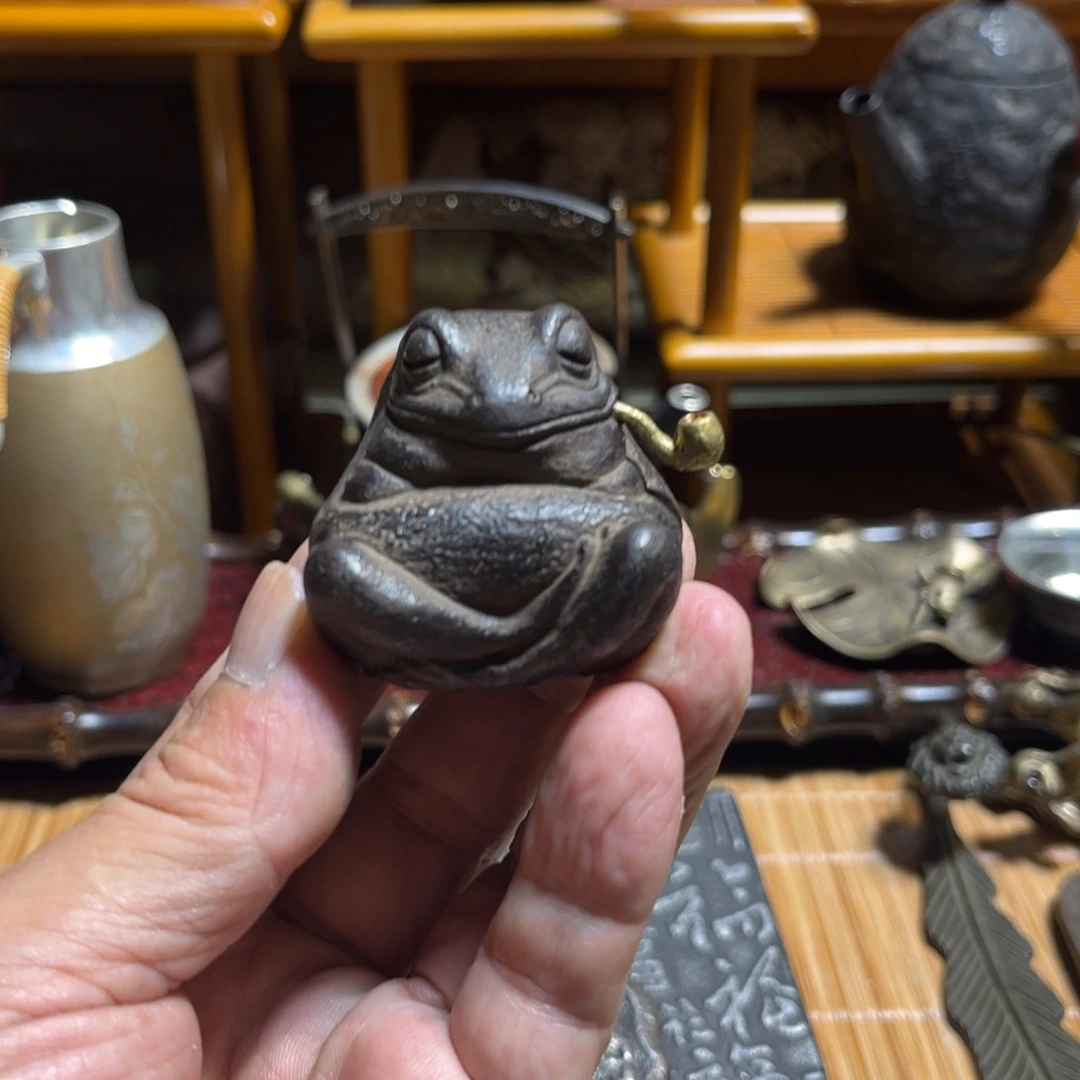 中古回流福利多多猫*姐