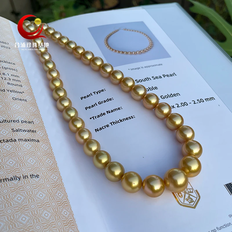 进口吉尔德大证天然浓茶金南洋金珍珠正圆五星强光珍珠项链送妈妈